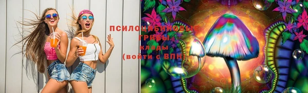 spice Абаза