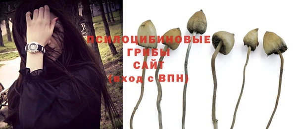 хмурый Всеволожск