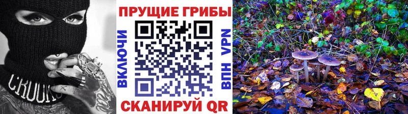 blacksprut как войти  Инта  Псилоцибиновые грибы прущие грибы 